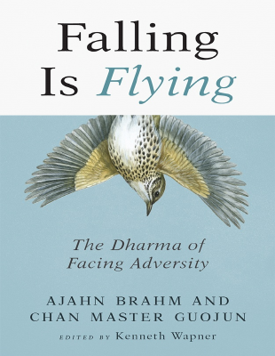 Falling_is_Flying.pdf